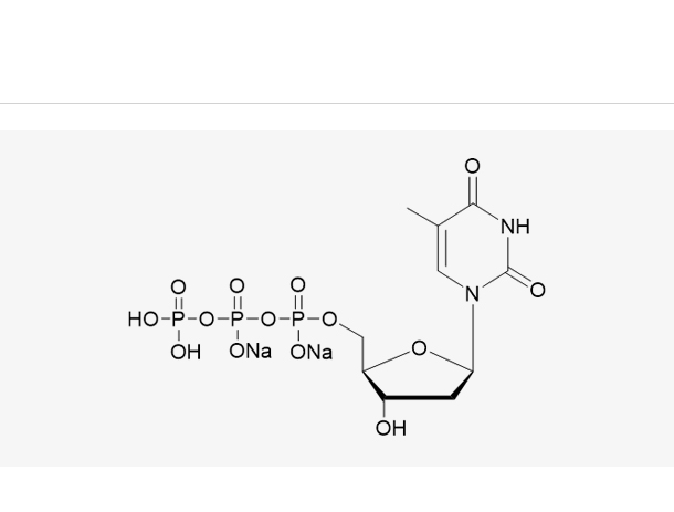 dTTP·Na2,dTTP·Na2