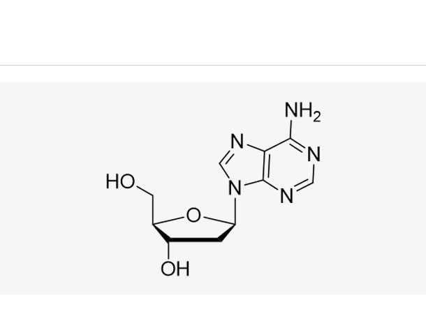 2'-Deoxyadenosine (dA),2'-Deoxyadenosine (dA)