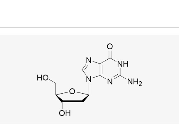 2'-Deoxyguanosine (dG),2'-Deoxyguanosine (dG)