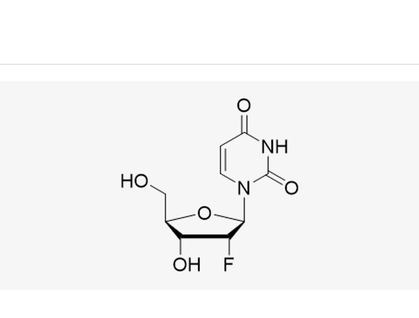 2'-F-dU,2'-F-dU