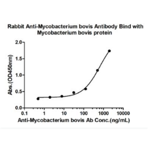 Anti-Mycobacterium bovis antibody-牛结核杆菌抗体,Mycobacterium bovis