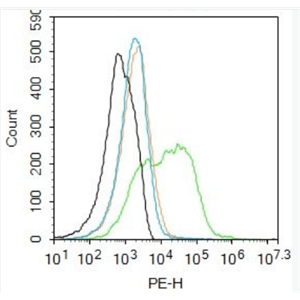 Anti-PROCR antibody-内皮细胞活化蛋白受体（CD201）抗体,PROCR