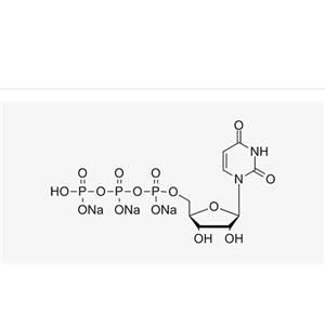 UTP sodium solution,UTP sodium solution