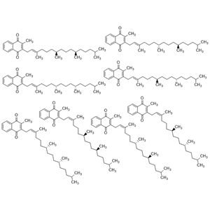 維生素K1雜質(zhì)10（八個混合物）