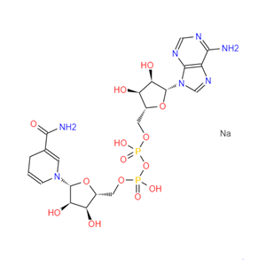 β-烟酰胺腺嘌呤二核苷酸二钠