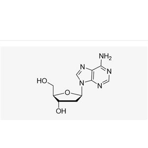 2'-Deoxyadenosine (dA)