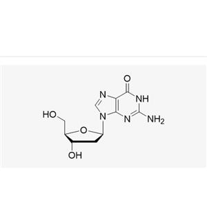 2'-Deoxyguanosine (dG)