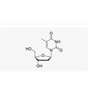 Thymidine (dT),Thymidine (dT)