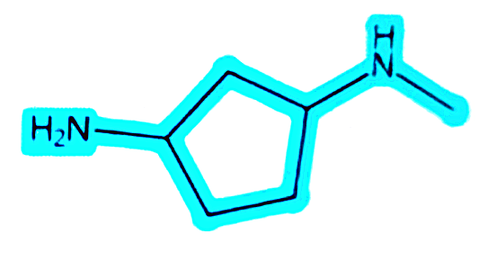 N1-甲基環(huán)戊烷-1,3-二胺,N1-Methylcyclopentane-1,3-diamine