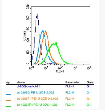 Anti-Fragilis antibody-干擾素誘導跨膜蛋白3抗體,Fragilis