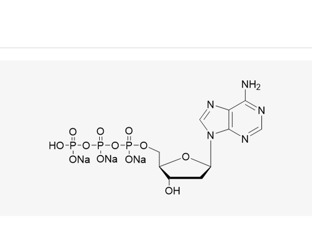 dATP Sodium Salt Solution(100 mM),dATP Sodium Salt Solution(100 mM)