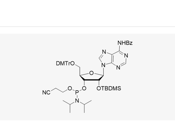N-苯甲酰基-5'-O-(4,4-二甲氧基三苯甲基)-2'-O-[(叔丁基)二甲基硅基]腺苷-3'-(2-氰基乙基-N,N-二异丙基)亚磷酰胺,DMT-2'-O-TBDMS-A(Bz)-CE