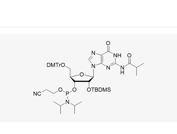 5'-O-(4,4-二甲氧基三苯甲基)-2'-O-[(叔丁基)二甲基硅基]-N-异丁酰基鸟苷-3'-(2-氰基乙基-N,N-二异丙基)亚磷酰胺,DMT-2'-O-TBDMS-G(iBu)-CE