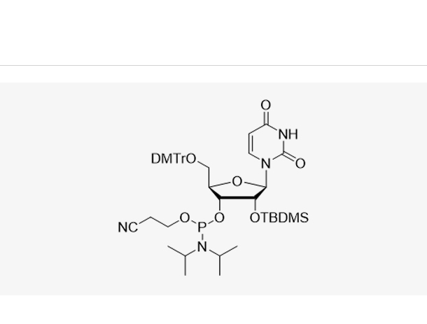 5'-O-(4,4-二甲氧基三苯甲基)-2'-O-[(叔丁基)二甲基硅基]尿苷-3'-(2-氰基乙基-N,N-二异丙基)亚磷酰胺,DMT-2'-O-TBDMS-U-CE