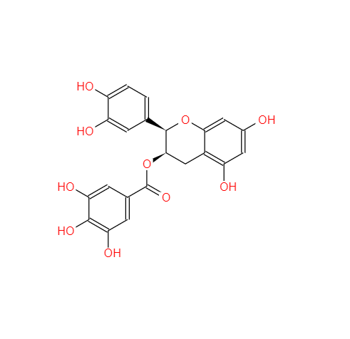 表儿茶素没食子酸酯,(-)-Epicatechin gallate