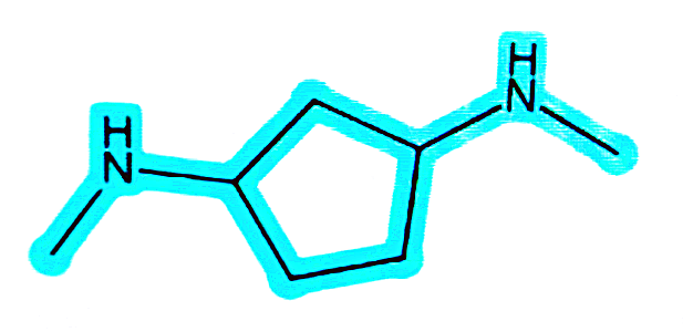 N1,N3-二甲基-1,3-環(huán)戊二胺,N1,N3-Dimethyl-1,3-cyclopentanediamine