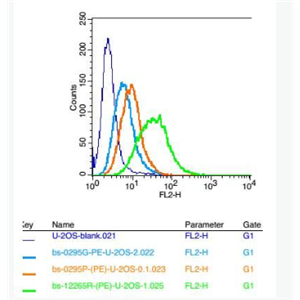 Anti-Fragilis antibody-干扰素诱导跨膜蛋白3抗体