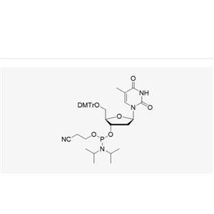 DMT-dT-CE-Phosphoramidite