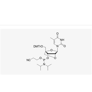 DMT-2