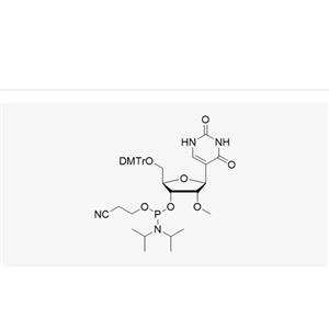 DMT-2'-OMe-Pseudouridine 199737-09-2