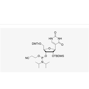 DMT-2'-O-TBDMS-Pseudouridine 163496-23-9