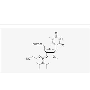 DMT-2'-OMe-N1-Me-Pseudouridine