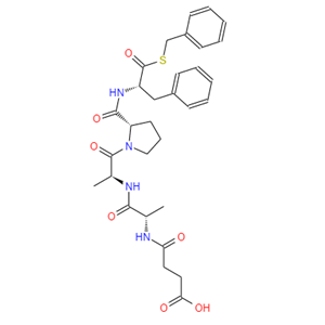 羧肽酶B