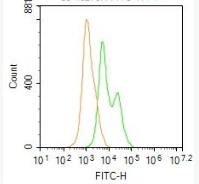 Anti-PIK3 gamma antibody-磷脂酰肌醇激酶PIK3-γ抗体,PIK3 gamma