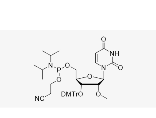 3'-DMT-2'-OMe-U-CE Reverse,3'-DMT-2'-OMe-U-CE Reverse