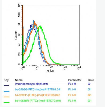 Anti-PEPT1 antibody-肠道肽转运蛋白1/小肽转运蛋白1抗体,PEPT1