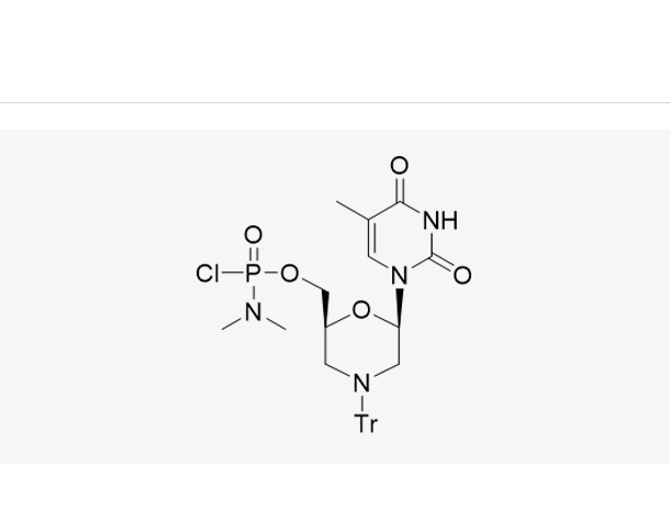 Morpholino T subunit,Morpholino T subunit