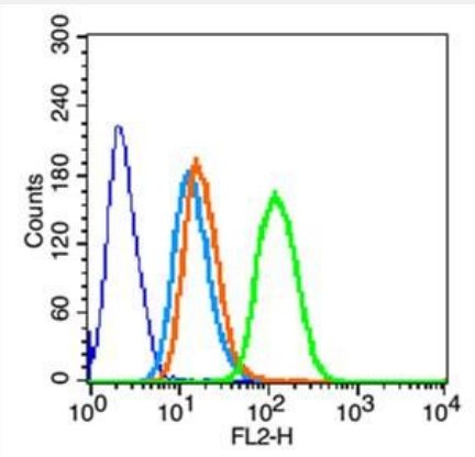 Anti-Integrin beta 1/CD29 antibody-整合素β1（CD29）抗体,Integrin beta 1/CD29