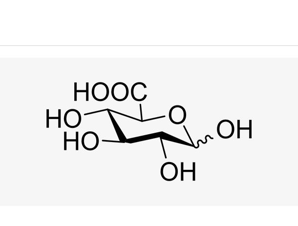 D-GlcA,D-GlcA