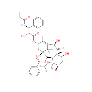 10-脱乙酰基 紫杉醇乙基类似物 173101-59-2