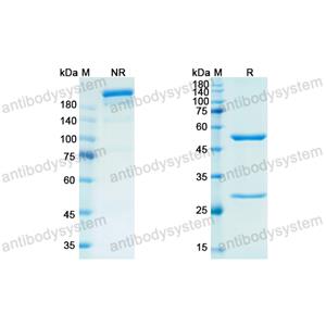 Research Grade Emactuzumab(DHC25202)