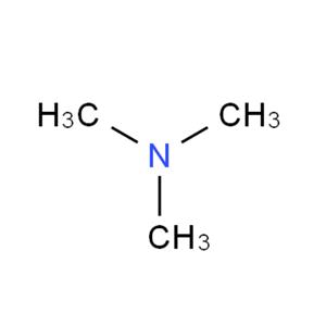 三甲胺,Trimethylamine