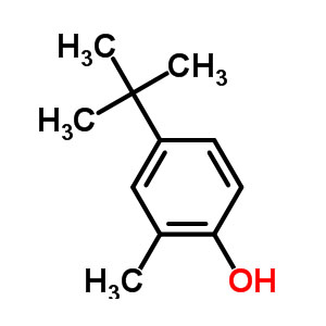 4-叔丁基-2-甲基苯酚,4-tert-butyl-2-methylphenol