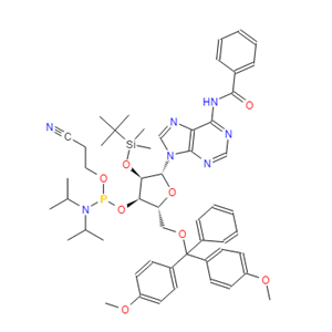 Bz-rA 亚磷酰胺单体