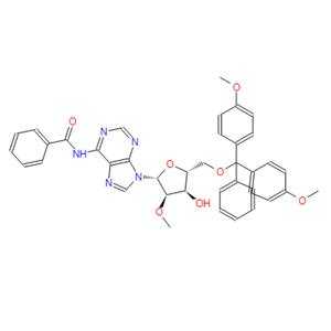 N6-苯甲酰基-5'-O-DMT-2'-甲氧基腺苷