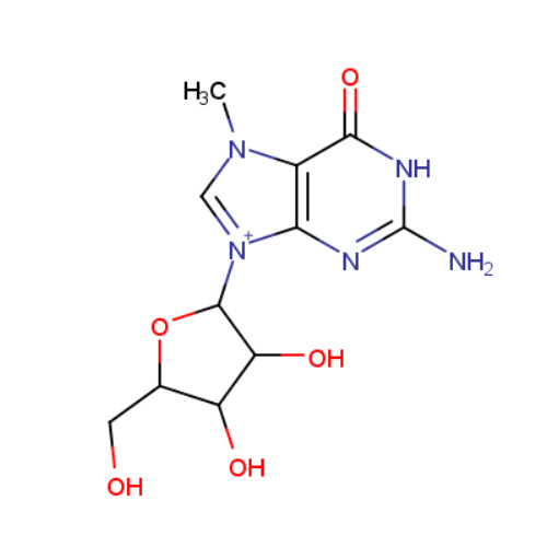 7-甲基鸟苷,7-METHYLGUANOSINE