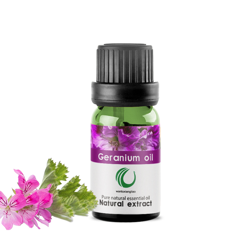 天竺葵油,Geranium oil