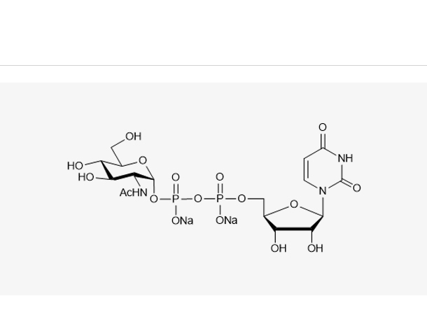 5′-二磷酸尿嘧啶核苷-N-乙酰半乳糖胺二钠盐,UDP-GlcNAc.2Na