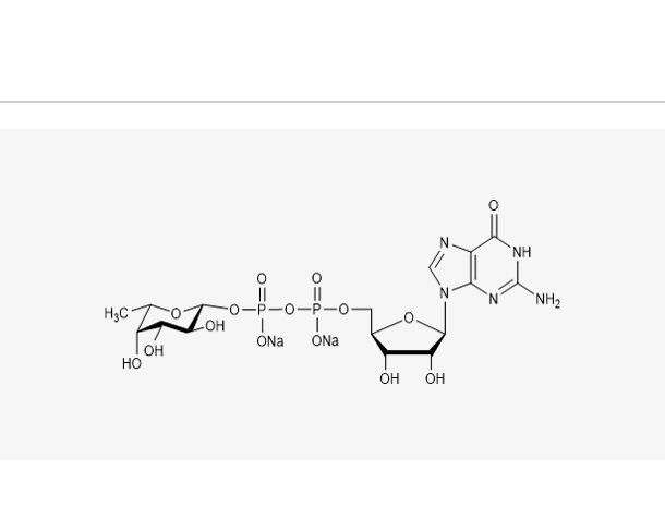 5`-二磷酸鸟嘌呤核苷-岩藻糖二钠盐,GDP-L-Fuc.2Na