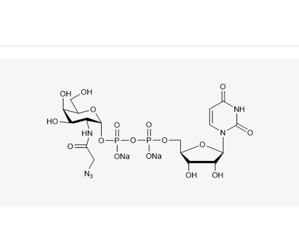 尿苷5'-二磷酸-N-乙酰疊氮氨基半乳糖胺二鈉鹽,UDP-GalNAz.2Na