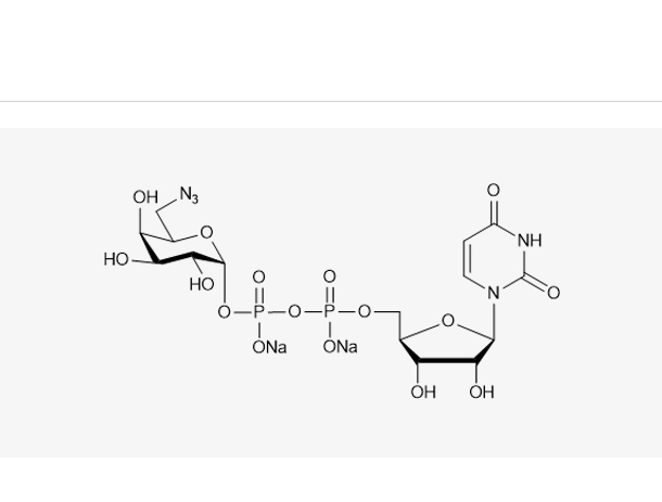 UDP-6-azido-6-deoxy-D-Gal.2Na,UDP-6-azido-6-deoxy-D-Gal.2Na