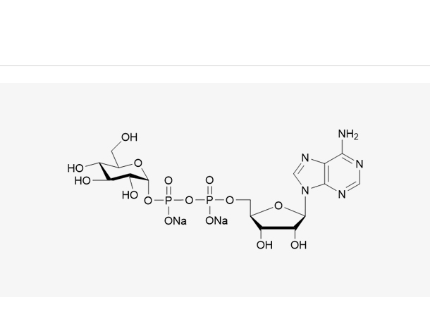 ADP-D-Glucose,ADP-D-Glucose