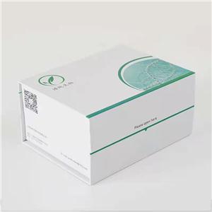 Annexin V-PE/ 7-AAD荧光双染细胞凋亡检测试剂盒