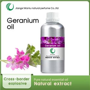 天竺葵油,Geranium oil