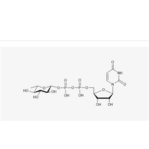 UDP-β-L-Rhamnose