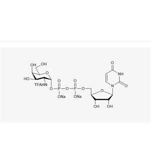 UDP-GalNTFA.2Na(95%;  98%)